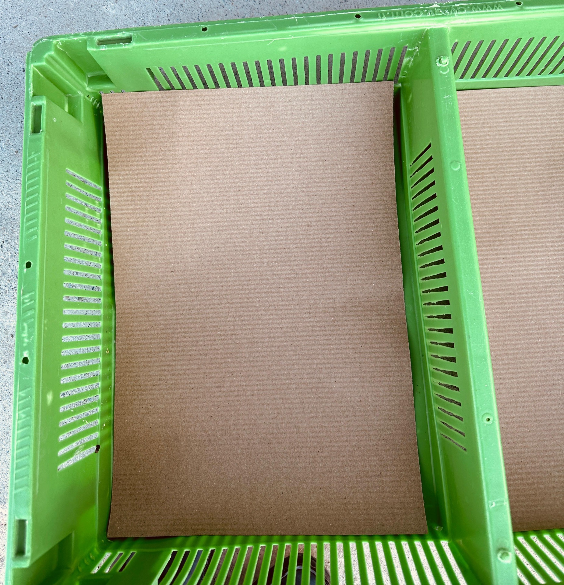 ONDÜLE - TIRTIK DESEN ,KULUÇKA 25X 35 CM KASA KAĞIDI GÖRSELİ -3