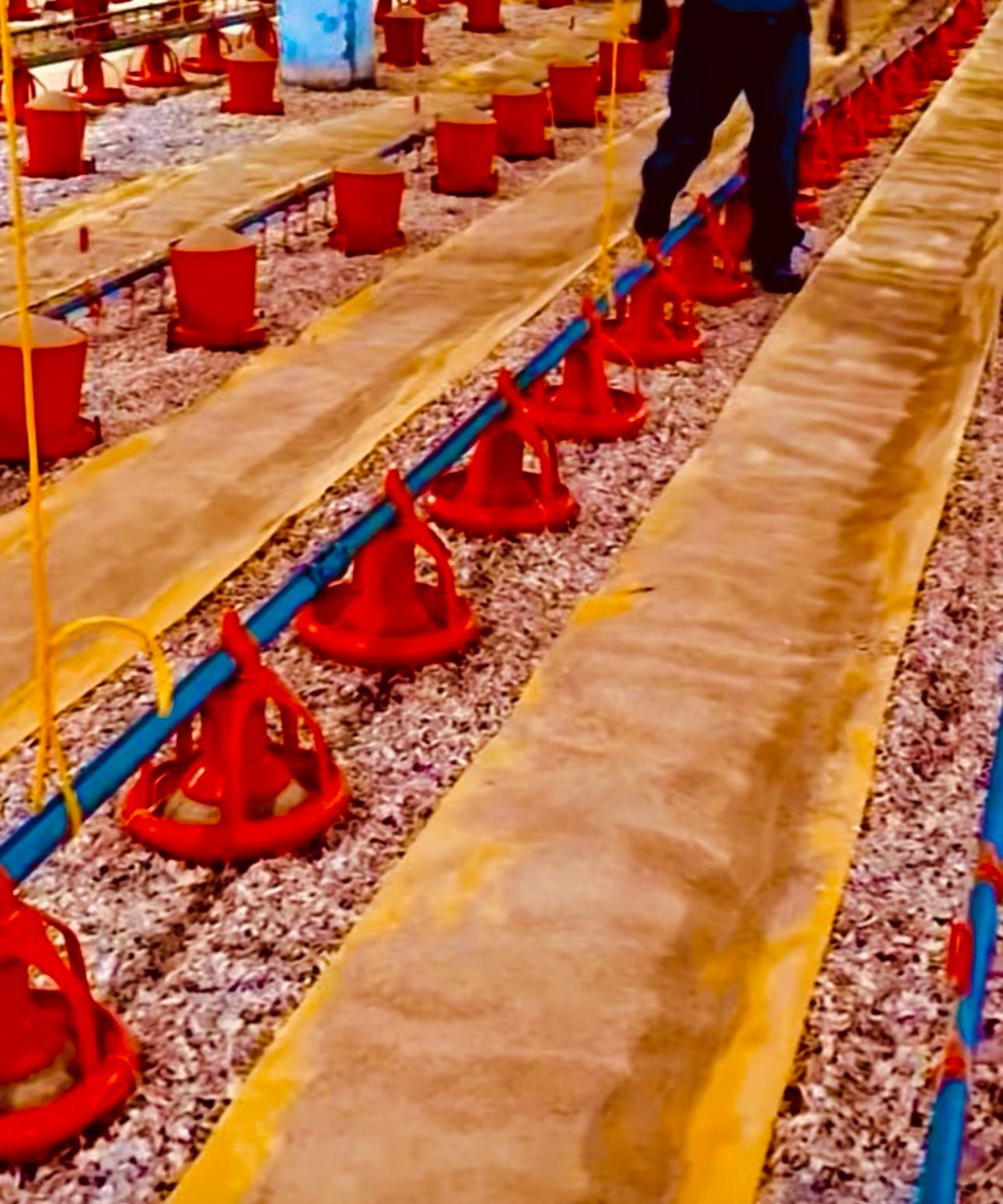 SIVI GEÇİRMEZ VE ERİMEYEN TOPLANABİLİR %100 saf hammadde ile üretilen kağıdımızın ÜZERİN DE GEZİNİRKEN BASILMASINA RAĞMEN SAĞLAM DURDUĞUNA DAİR kümeslerde kayda giren görseli 