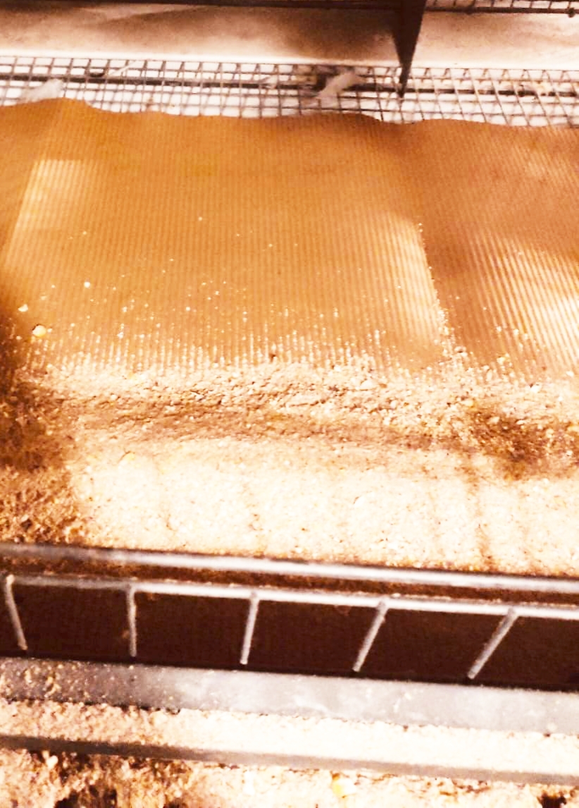 KAFESLİ YUMURTACILIK 50 X 120 CM TIRTIKLI KAFES KAĞIDI GÖRSELİ -4